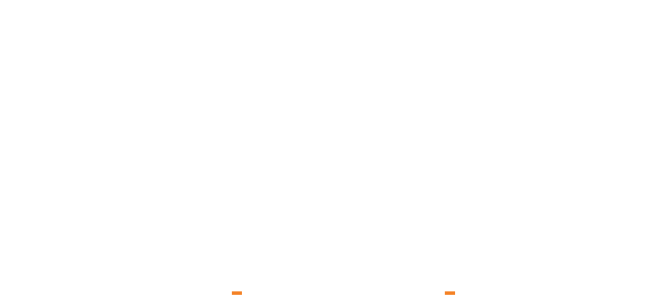 light logo